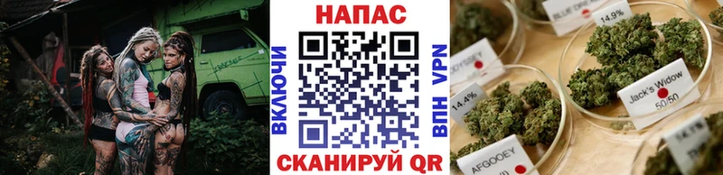 Купить закладку APVP  МЕФ  Гашиш  МАРИХУАНА  Алатырь