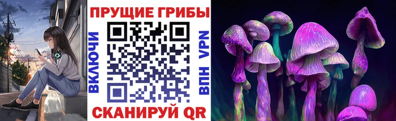 Купить где  Алатырь  Галлюциногенные грибы мицелий 