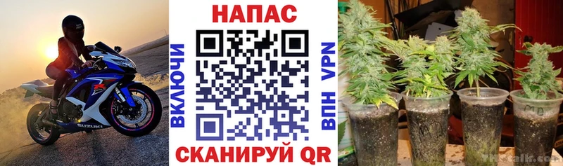 Купить где  Алатырь  Канабис Ganja 